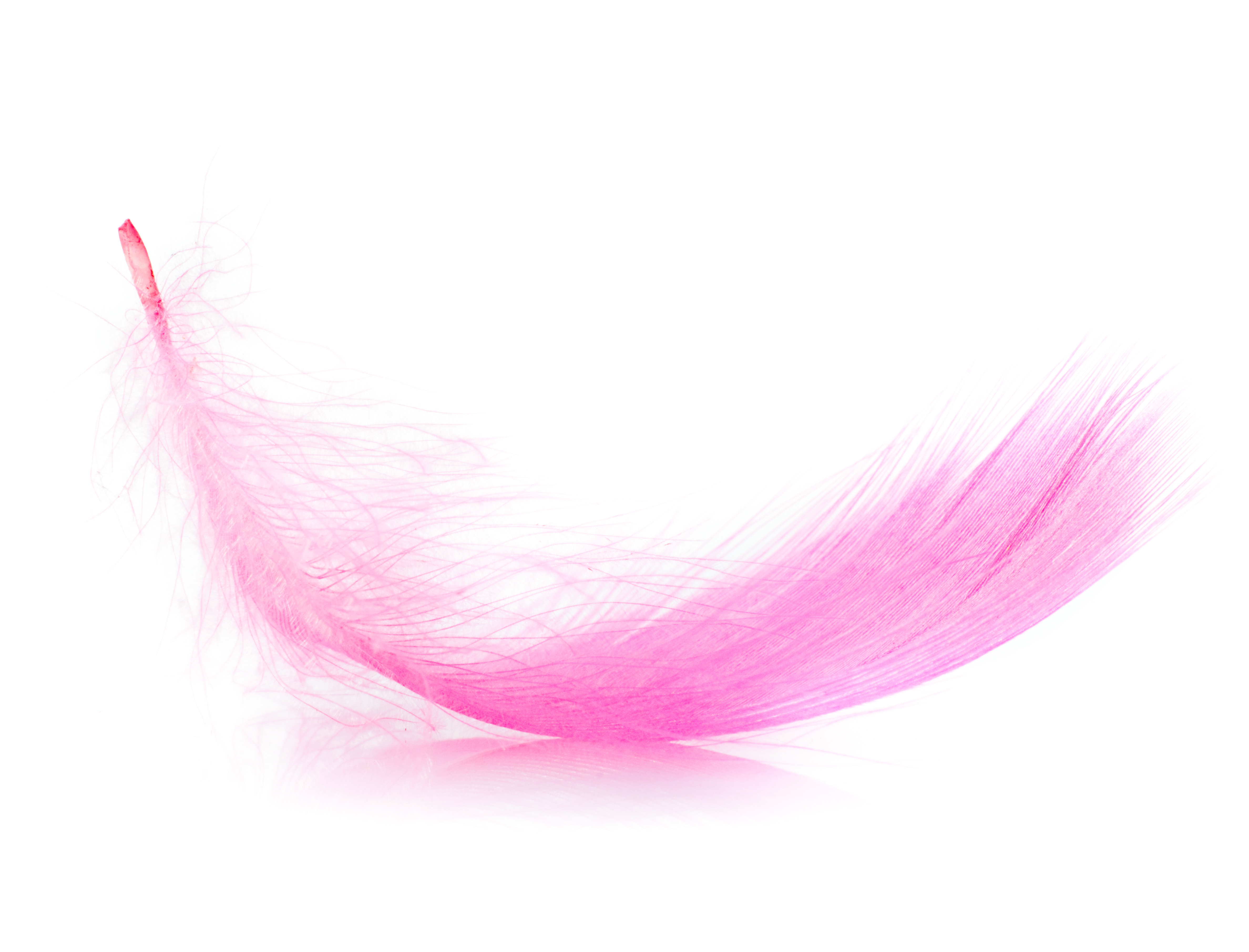 Intuitive Cate Life Coach